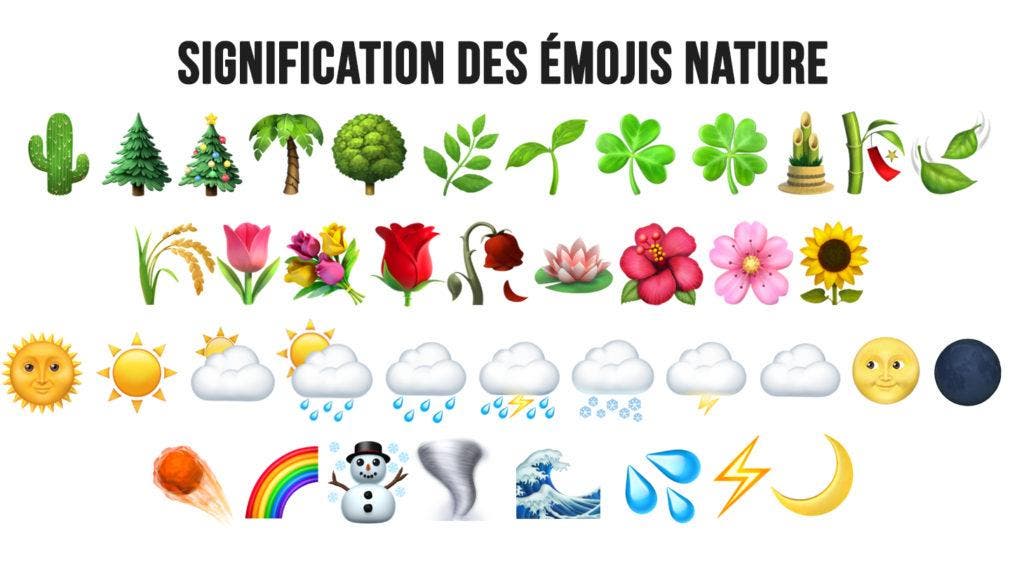 découvrez la signification des coupes au tarot : interprétations, symboles et messages liés à ce puissant arcane des émotions et des sentiments dans le tirage de cartes.