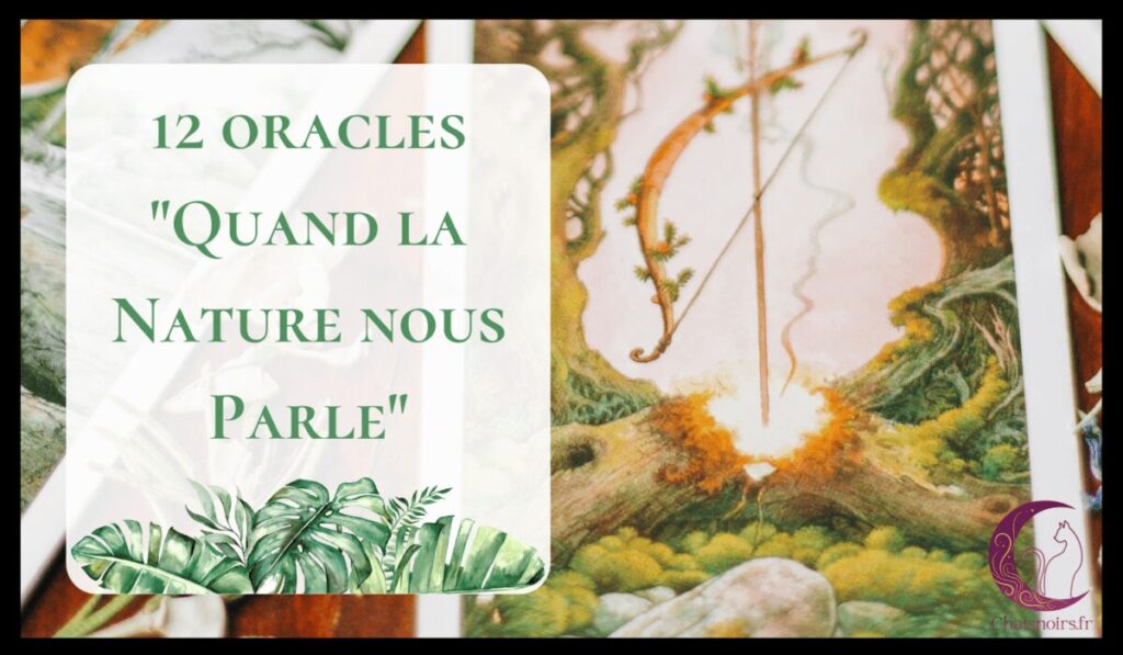 découvrez comment interpréter l'oracle des miroirs pour mieux comprendre vos réflexions intérieures et vos messages spirituels.