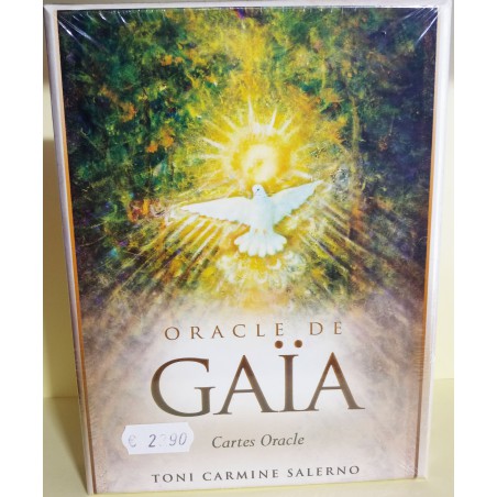 découvrez les oracles de gaia, un outil inspirant pour votre développement personnel et spirituel. explorez des messages puissants pour mieux vous connaître et avancer sur votre chemin.