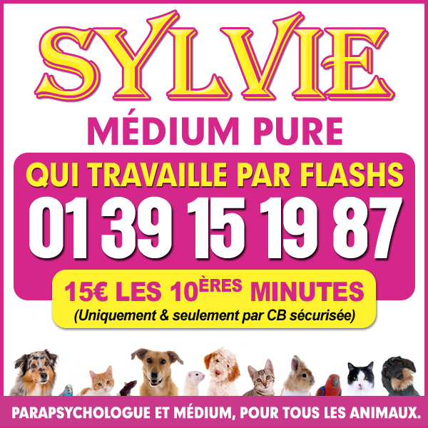 découvrez comment rejoindre un cabinet de voyance en 2025 pour développer vos compétences, offrir des consultations personnalisées et réussir dans le domaine de la voyance.