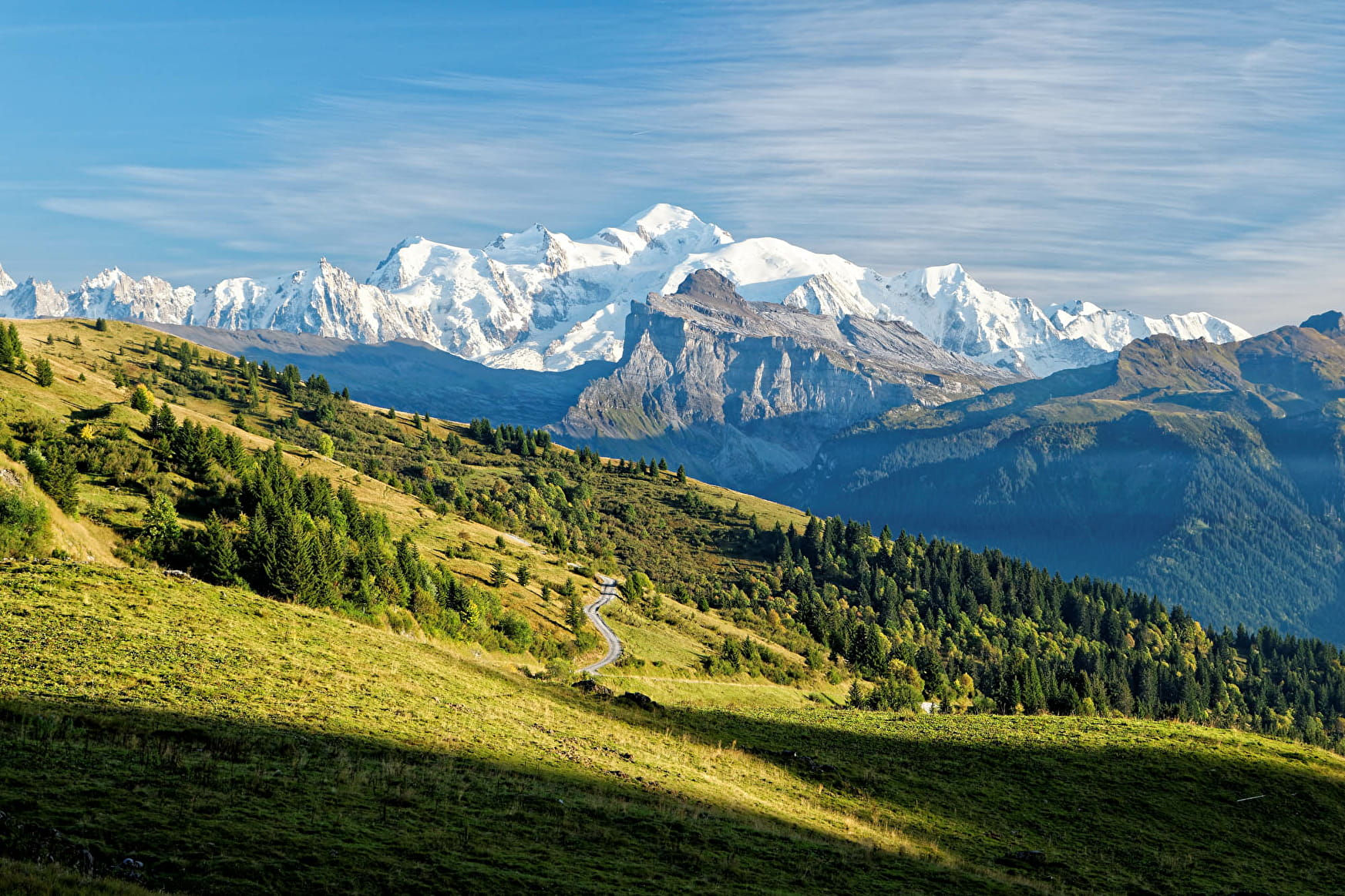découvrez le comité savoie mont blanc de tarot, l'association dédiée à la promotion et à l'organisation des compétitions de tarot dans la région savoie mont blanc.