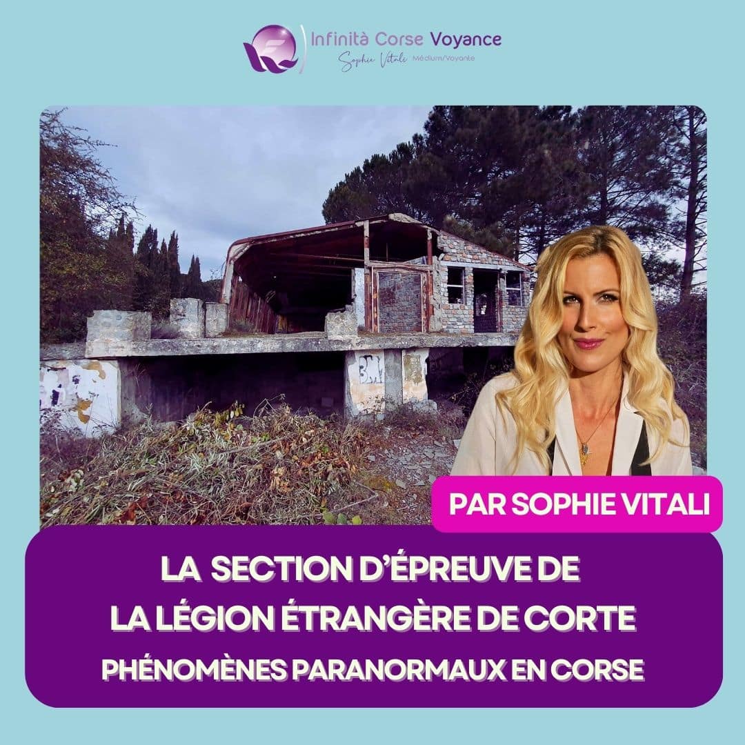 découvrez les prédictions de cathy voyance pour votre avenir en 2025 et préparez-vous à vivre une année pleine de surprises et d'opportunités.