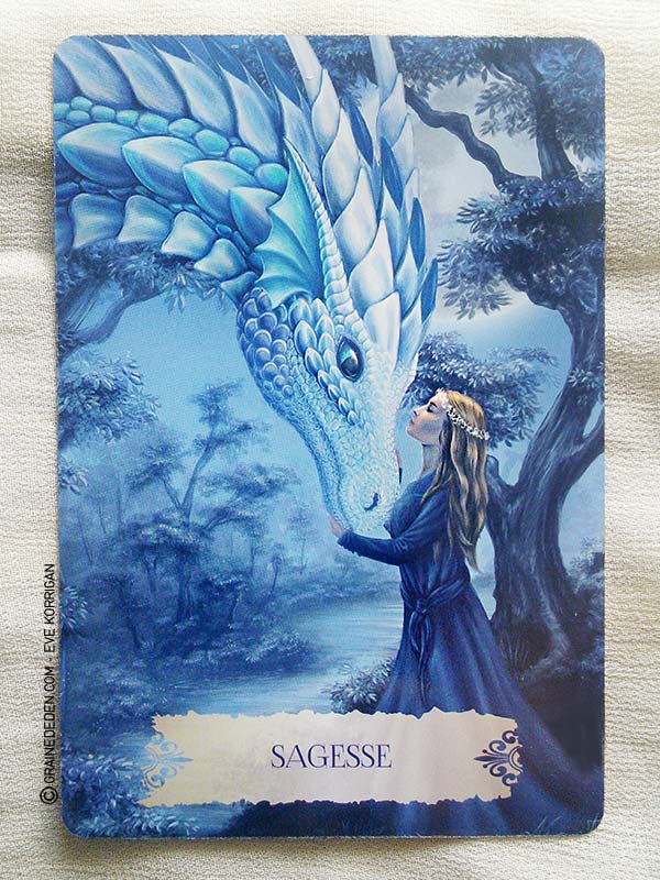découvrez l'oracle des animaux, un jeu de cartes inspirant qui révèle la sagesse et les messages précieux des animaux pour guider votre chemin spirituel.